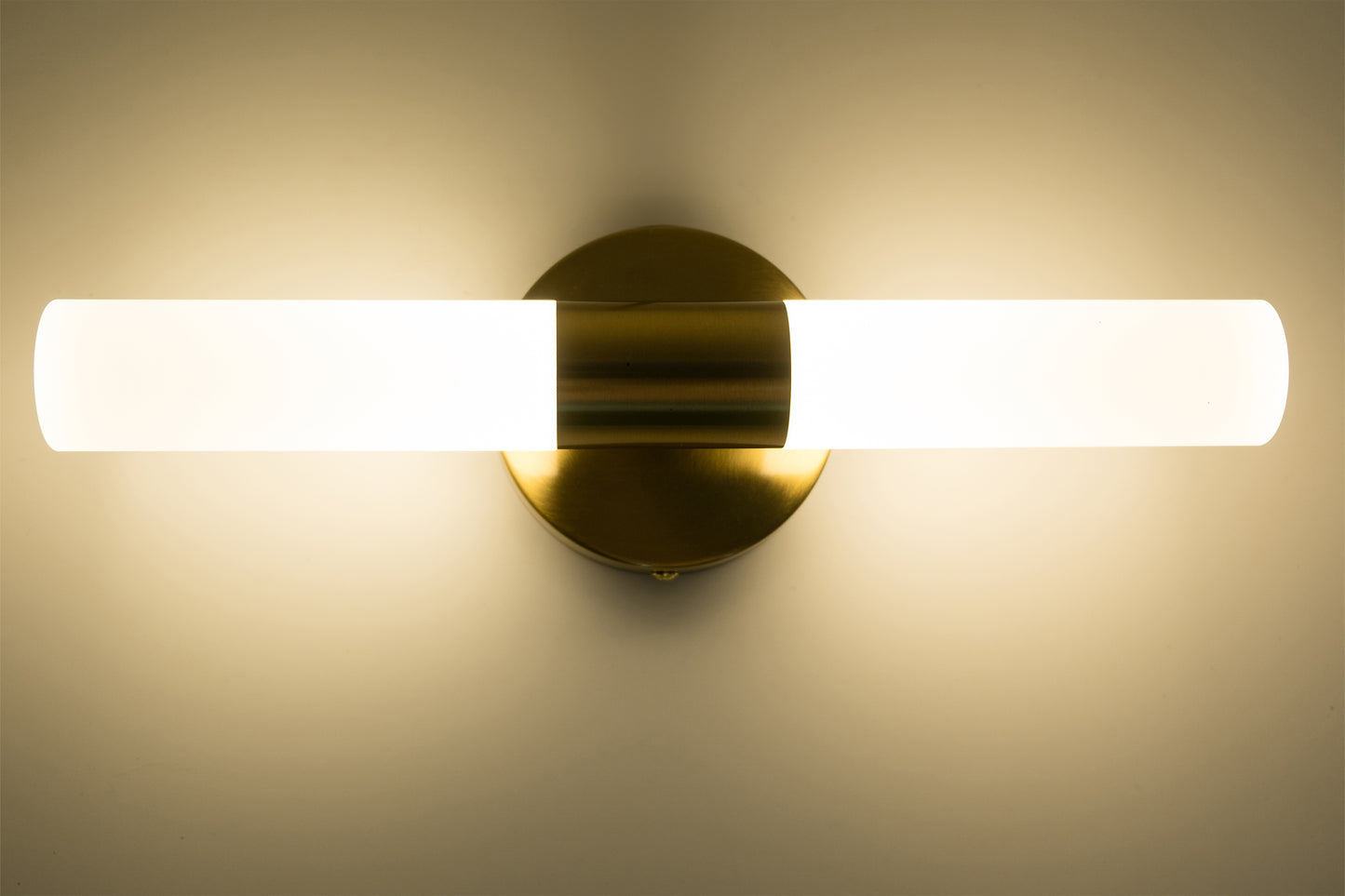 Double LED Wall Lamp